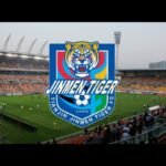 Tianjin Jinmen Tiger FC